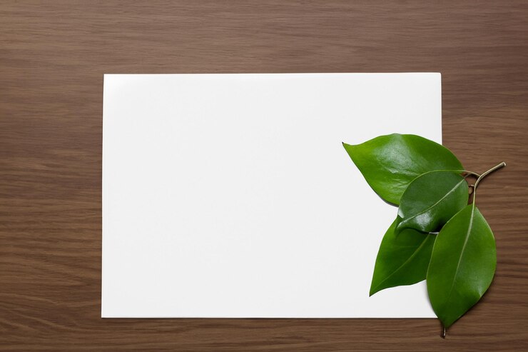 Foto um modelo de papel branco harmoniosamente adornado com uma folha fresca revelando uma fusão delicada