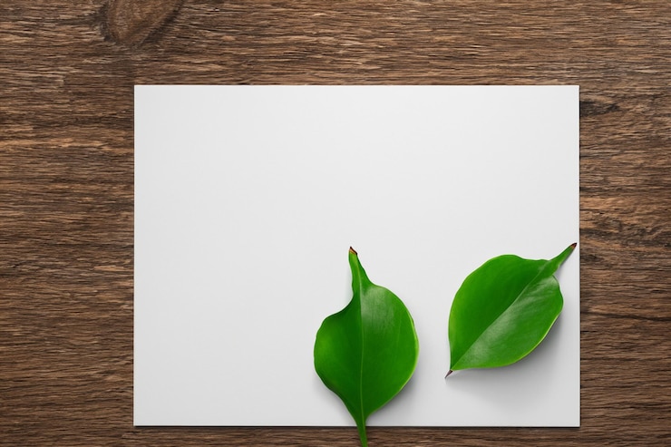 Foto um modelo de papel branco harmoniosamente adornado com uma folha fresca revelando uma fusão delicada