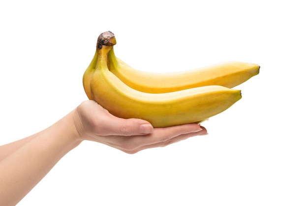 Um monte de bananas na mão de uma mulher isolada em um fundo branco