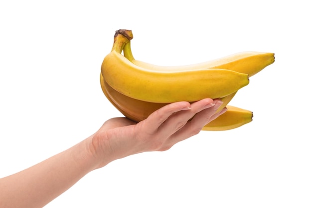 Um monte de bananas na mão de uma mulher isolada em um fundo branco