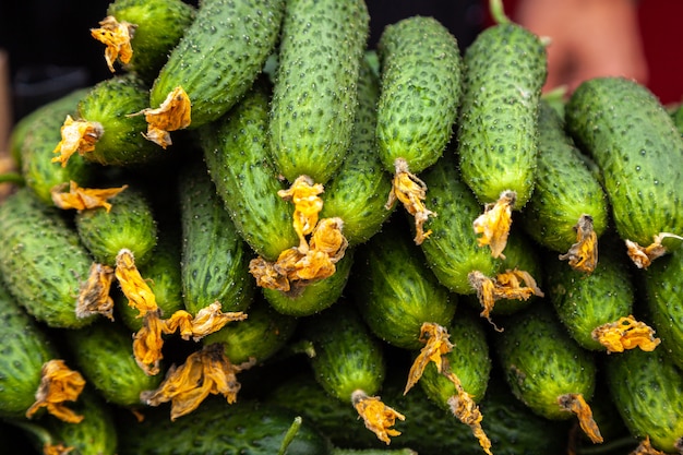 Um monte de pepinos no mercado local.