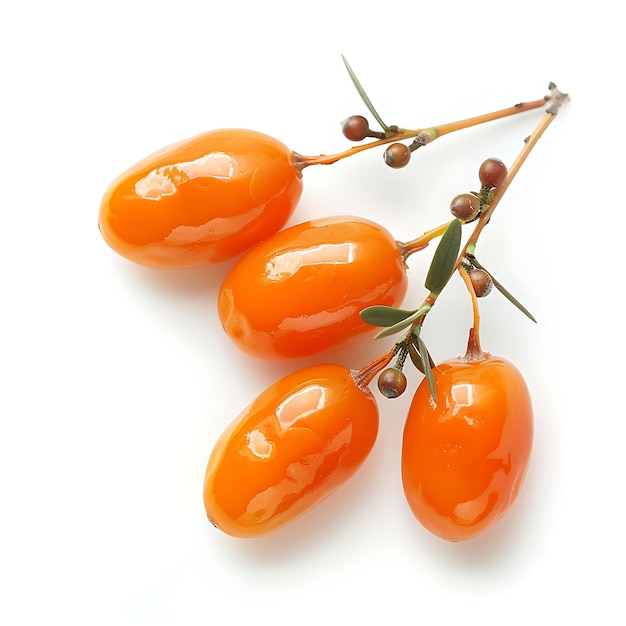 Foto um monte de tomates laranjas que estão em um ramo