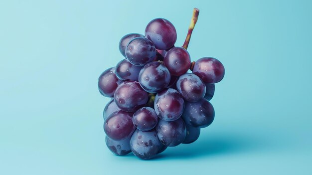 Um monte de uvas roxas suculentas maduras em um fundo azul As uvas são gordinhas e têm uma ligeira floração