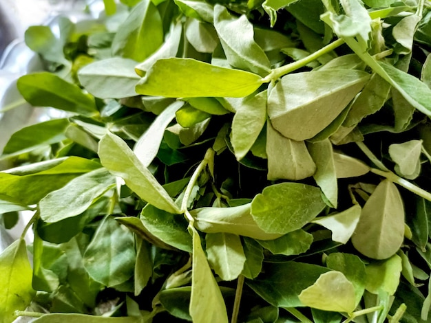 Um monte de vegetais verdes frescos de feno-grego saudáveis e nutritivos para venda em um mercado na índia