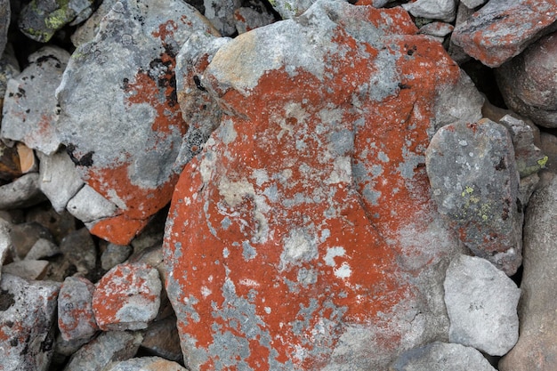 Um musgo vermelho e laranja e fungo líquen nas pedras nas montanhas fundo de textura de pedra abstrato cinza e vermelho