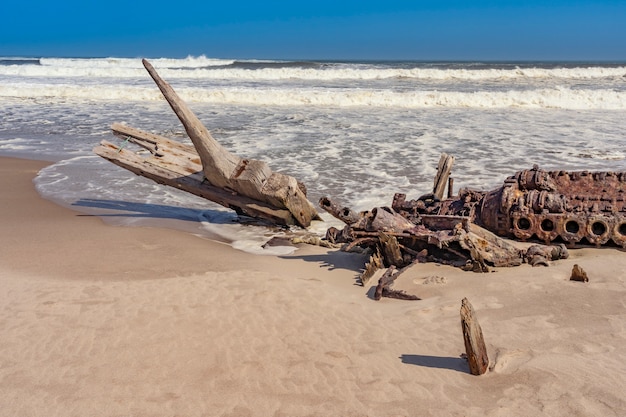 Um naufrágio no parque nacional da costa de esqueleto na namíbia na áfrica.