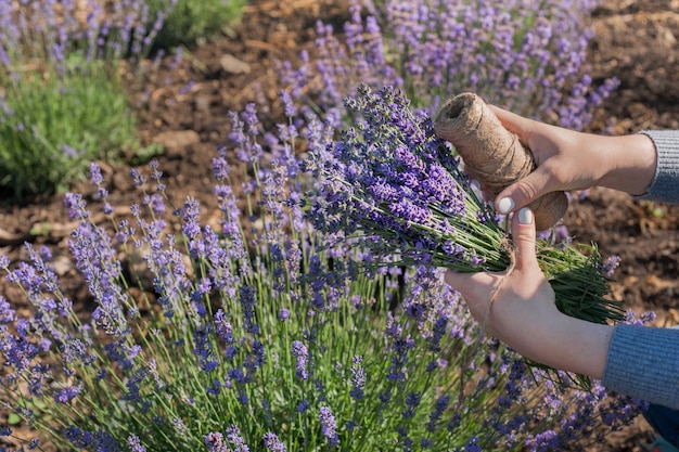 Um novelo de linha e um buquê de lavanda são segurados por mãos femininas