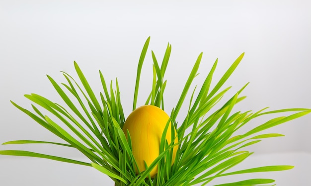 Foto um ovo de páscoa amarelo escondido na grama verde fresca