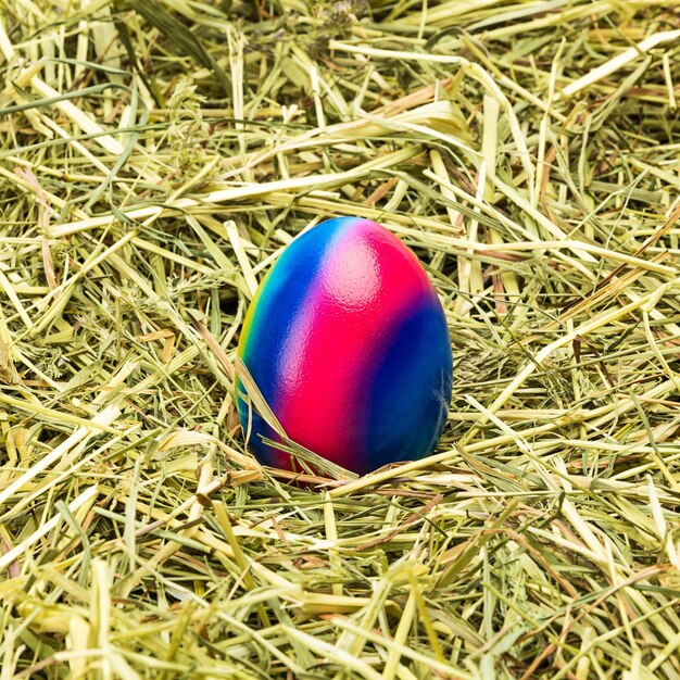 Um ovo de páscoa colorido encontra-se no feno. Tirada em estúdio com uma marca 5D III.