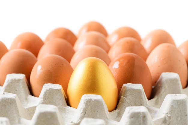 Um ovo dourado entre ovos marrons na bandeja de ovos isolado no sucesso de fundo branco ou conceito de líder