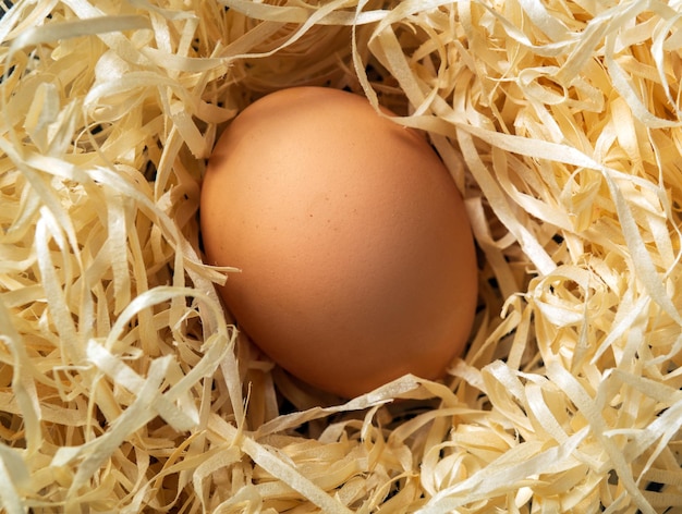 Um ovo marrom em um ninho em uma fazenda. Decoração de ninho de serragem de madeira.