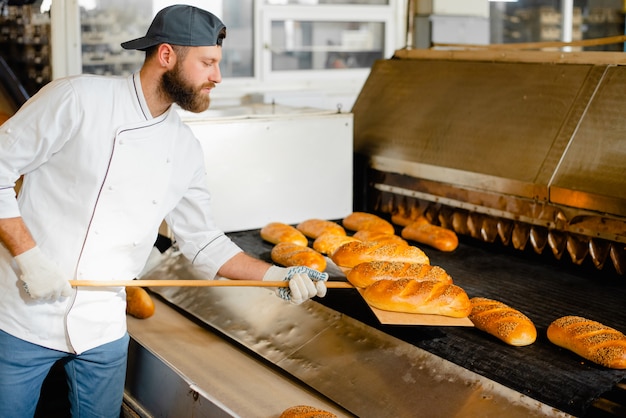 Um padeiro pega o pão quente em um forno industrial com uma pá de madeira. Produção industrial de pão