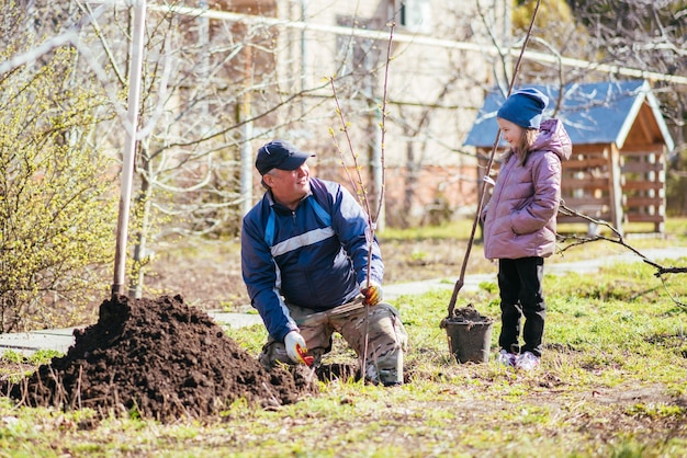 Um pai e sua filha estão plantando uma árvore frutífera