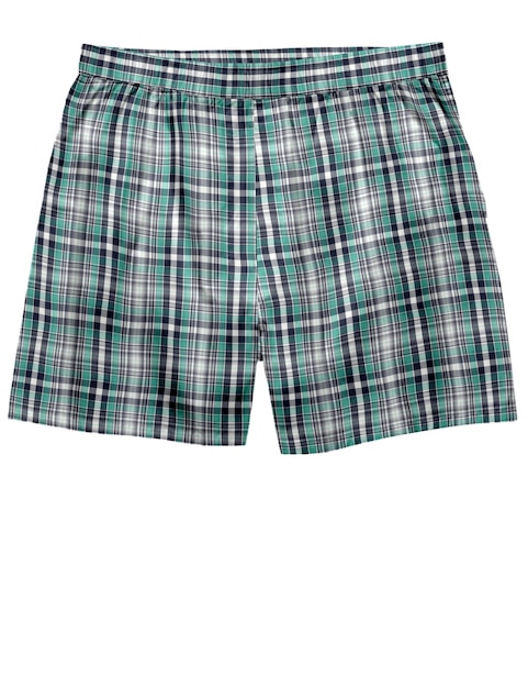 um par de calções plaid com uma saia plaid verde e azul