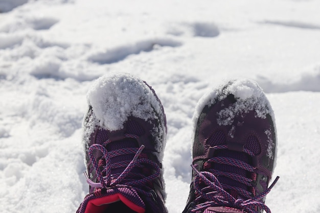 Foto um par de sapatos com neve neles