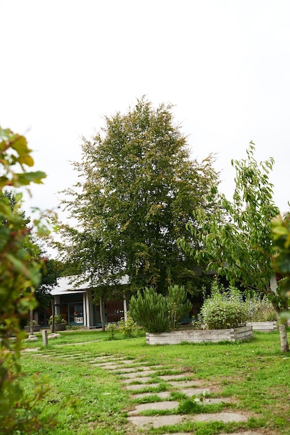 Um parque e jardim em um dia ensolarado