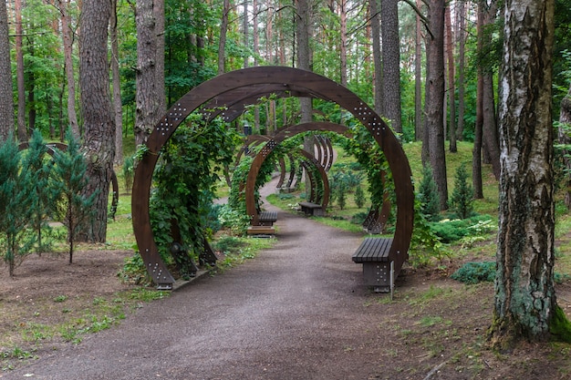 Um parque florestal com grandes árvores e bancos e arcos criativos.