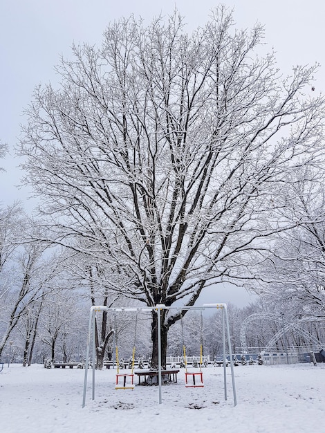 Um parque vazio com um balanço infantil na neve e uma grande árvore velha em uma manhã fria de inverno