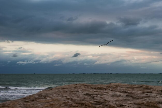 Um pássaro voa sobre o oceano e o céu está nublado.