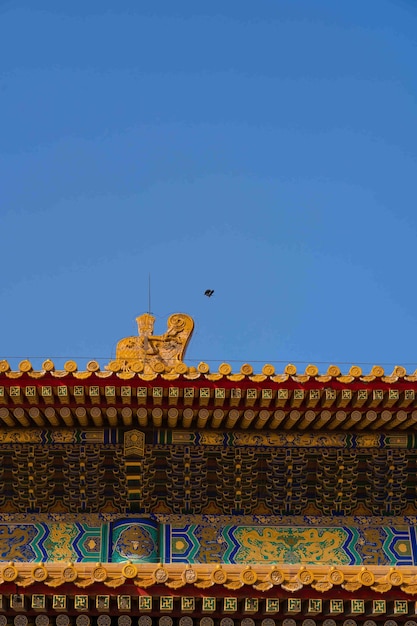 Um pássaro voa sobre o telhado de um templo em Pequim.