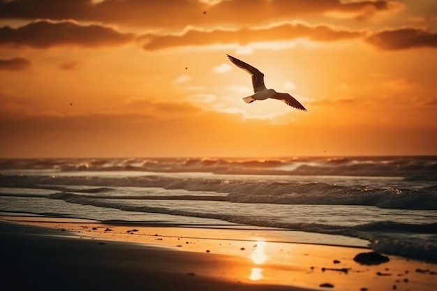 Um pássaro voando sobre a praia ao pôr do sol