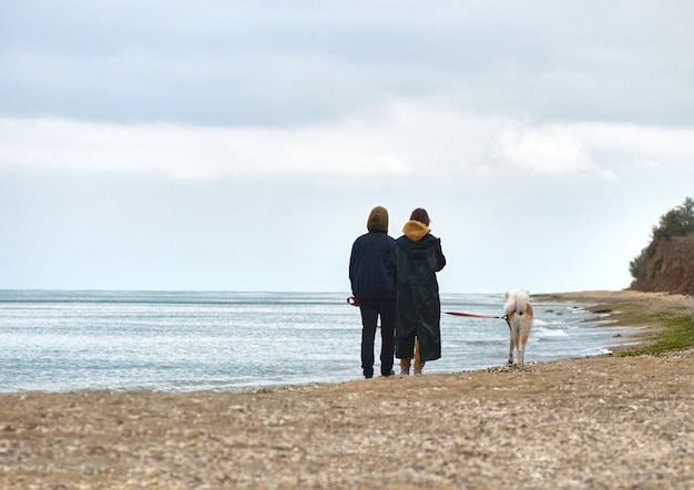 Um passeio na praia com cachorro