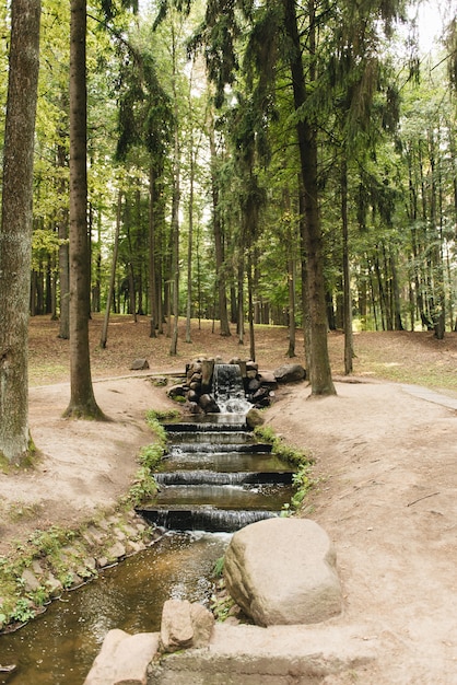 Um passeio pedestre pelo rio, rio de verão, parque Drozdy Minsk, Bielorrússia