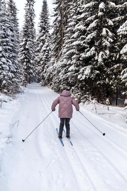 Um passeio pela floresta de inverno. Árvores de neve e uma pista de esqui cross-country. Esqui na floresta.