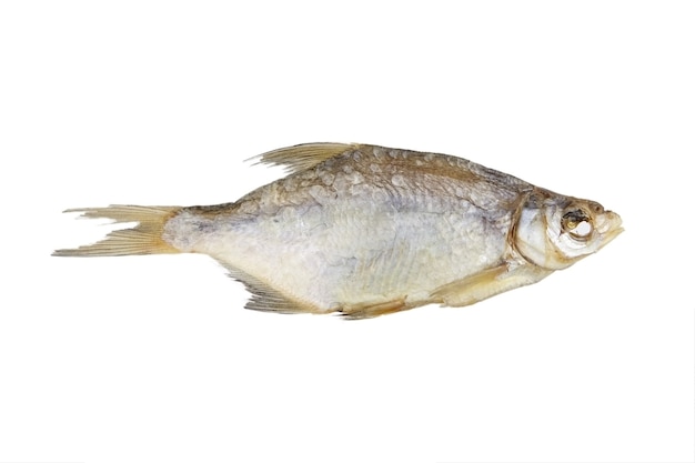 Um peixe seco isolado no branco