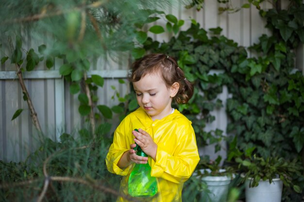 Um pequeno assistente em uma capa de chuva amarela pulveriza plantas na estufa