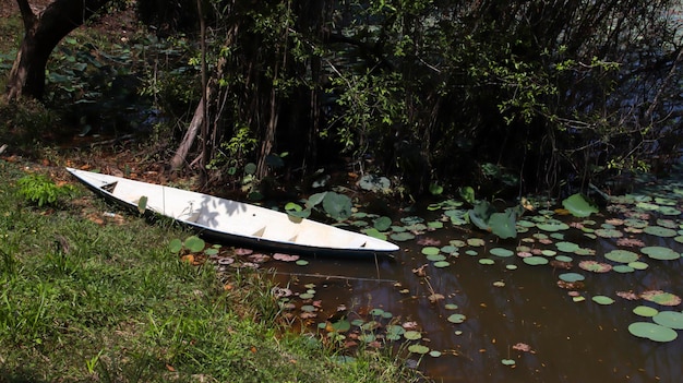 Um pequeno barco a remo branco ao lado do lago ou lagoa