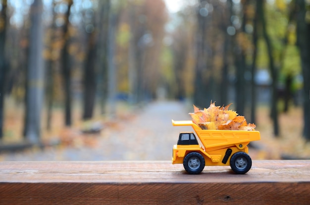 Um pequeno caminhão amarelo de brinquedo é carregado com folhas caídas amarelas.