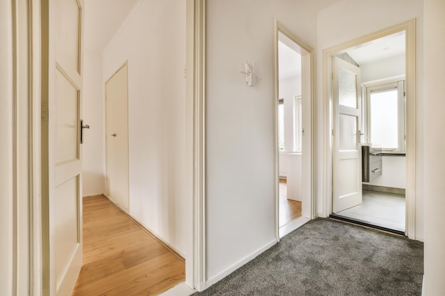 Um pequeno corredor com acesso a diferentes salas com piso de carpete em uma casa moderna