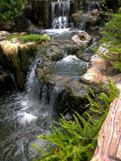 Um pequeno lago e cachoeira no jardim