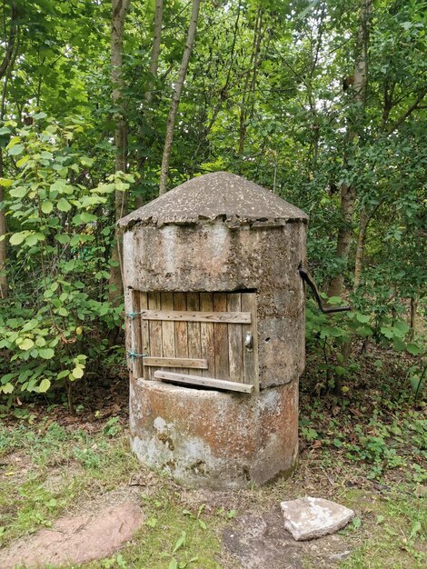 Foto um pequeno objeto de madeira com uma porta de madeira que diz “sem ferrugem”.