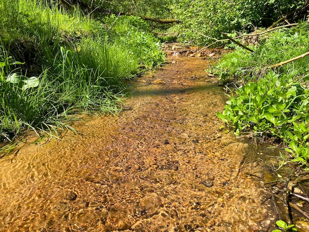 Foto um pequeno riacho de água cristalina flui pela floresta em um grande rio