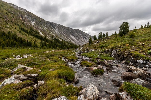 Um pequeno riacho de montanha flui das montanhas Muita grama verde e grandes pedras perto do rio Grandes montanhas ao fundo Tempo nublado Horizontal