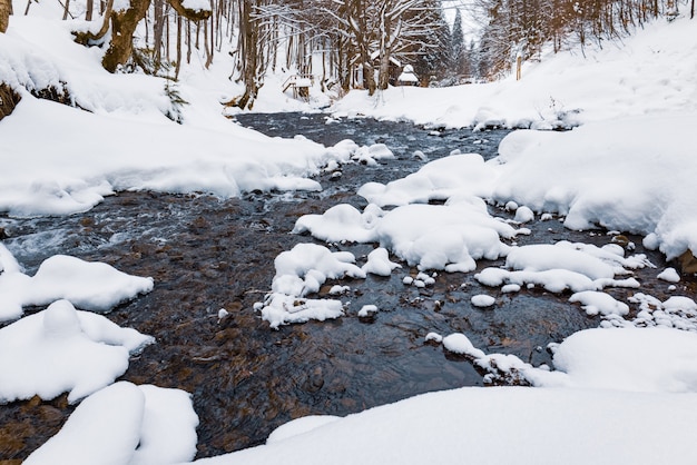 Um pequeno riacho frio de montanha flui entre pedras e árvores nas montanhas cobertas de neve dos Cárpatos