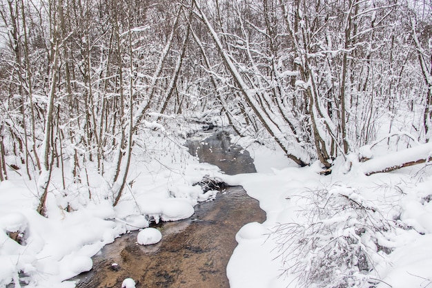 Um pequeno rio no inverno. Paisagem de inverno. Água nos rios. Árvores de inverno. Neve.