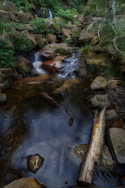 Um pequeno rio que flui entre rochas cercadas por folhagem em um parque natural na Espanha