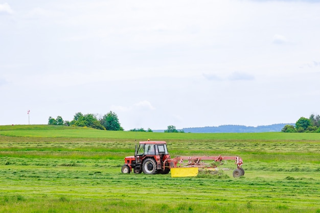 Um pequeno trator com um ancinho rotativo coloca a grama recém-cortada no campo. trabalho agrícola