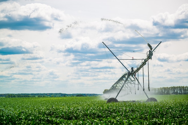 Um pivô de irrigação que molha um campo