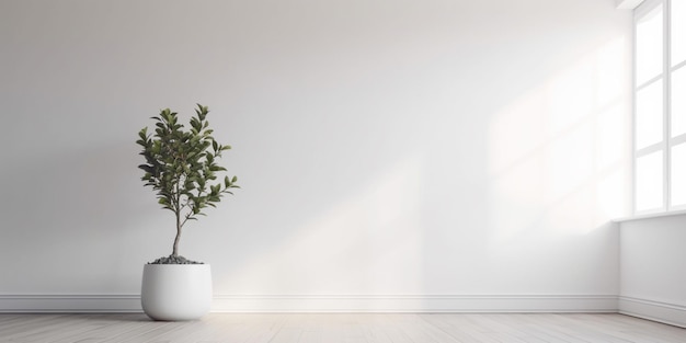 Um plantador branco com uma árvore em uma sala branca