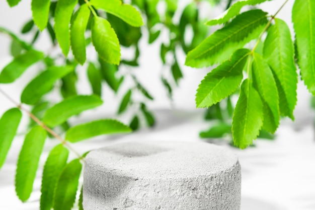 Um pódio feito de pedra cinza sobre fundo cinza claro com folhas verdes de plantas