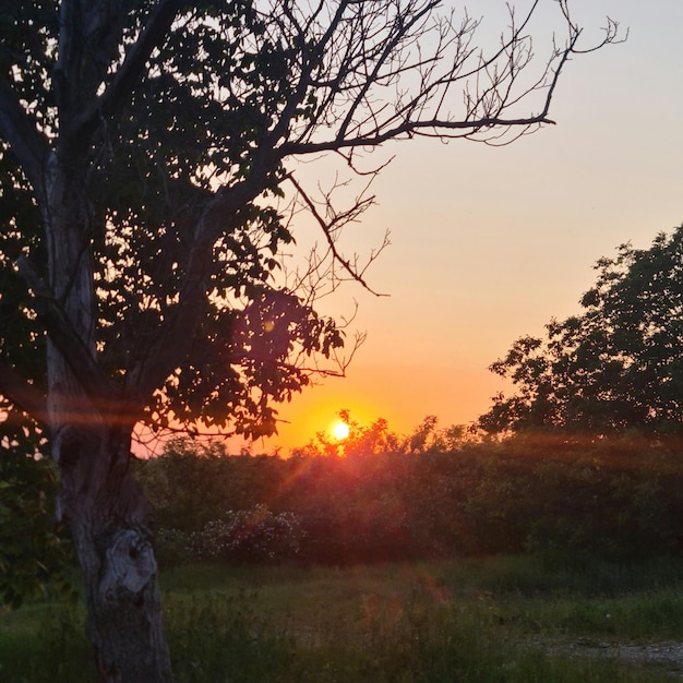 Um pôr do sol com o sol se pondo atrás dele