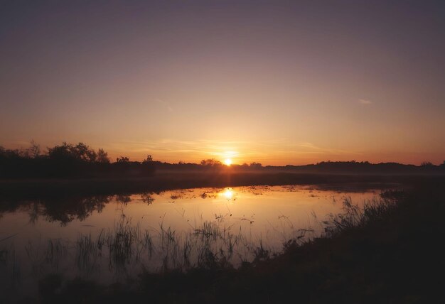 um pôr-do-sol com um lago e árvores ao fundo