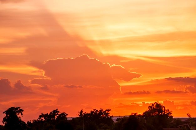 Um pôr do sol com uma silhueta de cachorro nas nuvens