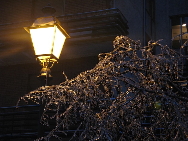 Foto um poste de lâmpada iluminado por uma árvore contra o edifício à noite durante o inverno