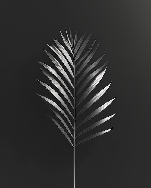 Um pôster 3D monocromático com uma silhueta de folha de palmeira de alto contraste