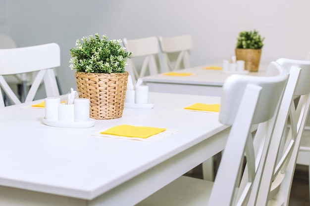 Um pote de plantas de plástico em uma mesa em um pote de vime Boa mesa branca